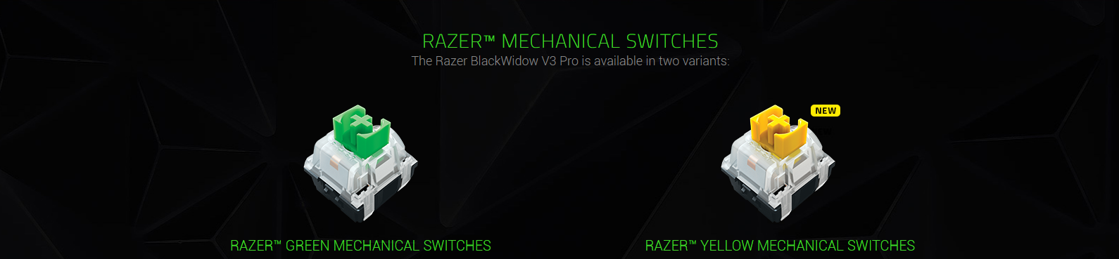 Ba`n phi´m Razer BlackWidow V3 (USB/Green switch) (RZ03-03540100-R3M1)