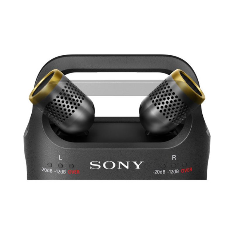 Máy ghi âm Sony PCM-D10 (NK)