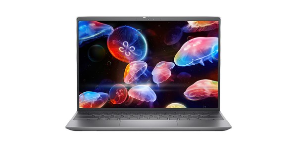 Laptop Dell Inspiron 5310 (N3I3116W1)/ Silver / Intel Core i3 - 1125G4/ Ram 8GB/ 256GB SSD/ Intel UHD Graphics/ 13.3 inch FHD / 4 Cell / Type-C / Win 11 + OFFICE H&ST 21/ 1Yr