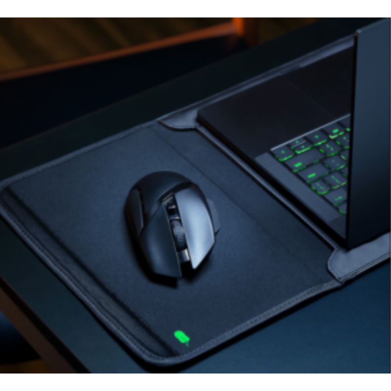 Túi chống sốc Razer Protective Sleeve for 15.6” Notebooks (RC21-01240101-R3M1)