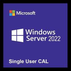 Phần mềm máy chủ HP Microsoft Windows Server 2022 1 User CAL en/cs/de/es/fr/it/nl/pl/pt/ru/sv/ko/ja/xc LTU P46191-B21