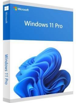 Phần mềm Microsoft Windows Pro 11 64Bit Eng Intl 1pk DSP OEI DVD (FQC-10528)