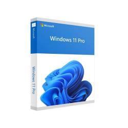 Phần mềm Microsoft Win Pro 11 64-bit All Lng PK Lic Online DwnLd NR (FQC-10572)